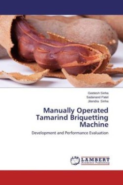 Manually Operated Tamarind Briquetting Machine