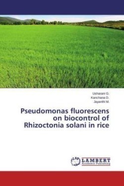 Pseudomonas fluorescens on biocontrol of Rhizoctonia solani in rice