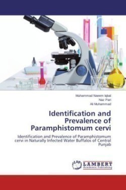 Identification and Prevalence of Paramphistomum Cervi