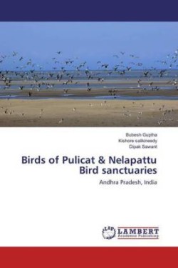 Birds of Pulicat & Nelapattu Bird sanctuaries