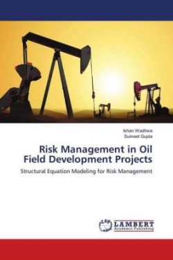 Risk Management in Oil Field Development Projects