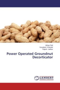 Power Operated Groundnut Decorticator