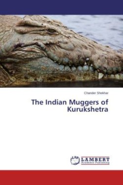 Indian Muggers of Kurukshetra