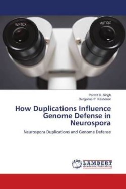 How Duplications Influence Genome Defense in Neurospora