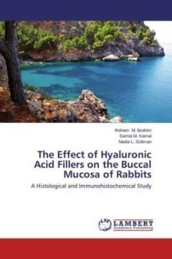 Effect of Hyaluronic Acid Fillers on the Buccal Mucosa of Rabbits