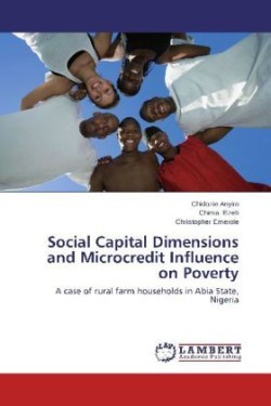 Social Capital Dimensions and Microcredit Influence on Poverty