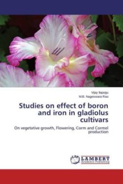 Studies on effect of boron and iron in gladiolus cultivars