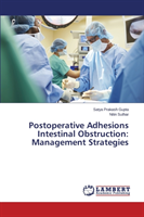 Postoperative Adhesions Intestinal Obstruction