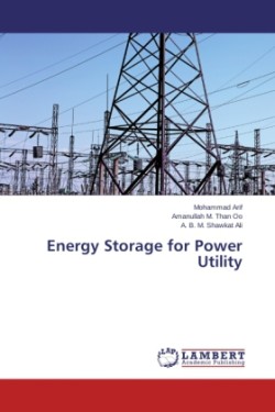 Energy Storage for Power Utility