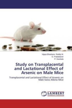 Study on Transplacental and Lactational Effect of Arsenic on Male Mice