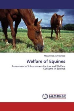 Welfare of Equines