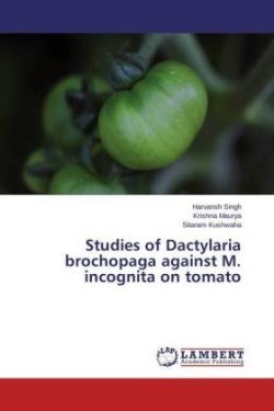 Studies of Dactylaria Brochopaga Against M. Incognita on Tomato