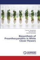 Biosynthesis of Proanthocyanidins in White Clover Flowers