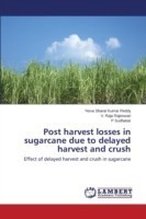 Post Harvest Losses in Sugarcane Due to Delayed Harvest and Crush