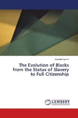 The Evolution of Blacks from the Status of Slavery to Full Citizenship