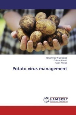 Potato Virus Management