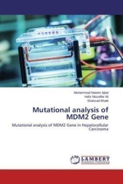 Mutational Analysis of Mdm2 Gene