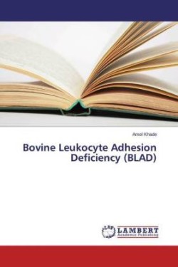 Bovine Leukocyte Adhesion Deficiency (BLAD)