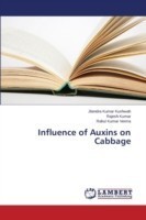 Influence of Auxins on Cabbage