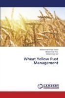 Wheat Yellow Rust Management