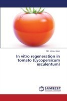 In vitro regeneration in tomato (Lycopersicum esculentum)