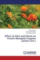 Effect of GA3 and Ethrel on French Marigold (Tagetes patula Linn.)