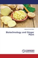 Biotechnology and Ginger Plant