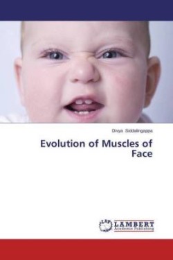 Evolution of Muscles of Face