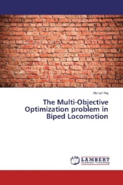 The Multi-Objective Optimization problem in Biped Locomotion