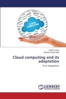 Cloud computing and its adaptation