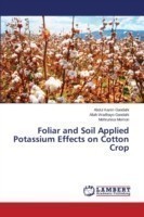 Foliar and Soil Applied Potassium Effects on Cotton Crop