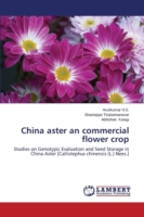 China aster an commercial flower crop