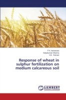 Response of wheat in sulphur fertilization on medium calcareous soil