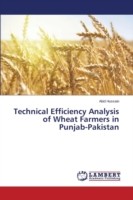 Technical Efficiency Analysis of Wheat Farmers in Punjab-Pakistan