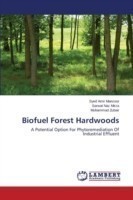 Biofuel Forest Hardwoods