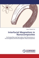 Interfacial Magnetism in Nanocomposites