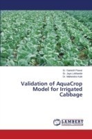 Validation of AquaCrop Model for Irrigated Cabbage