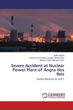 Severe Accident at Nuclear Power Plant of Angra dos Reis