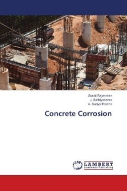 Concrete Corrosion