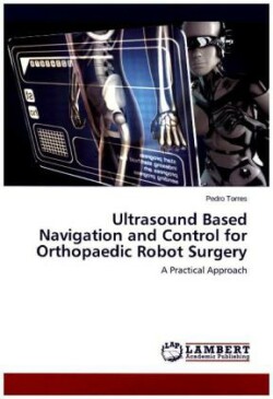 Ultrasound Based Navigation and Control for Orthopaedic Robot Surgery
