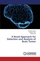 Novel Approach for Detection and Analysis of Brain Tumor