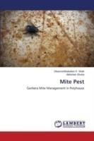 Mite Pest