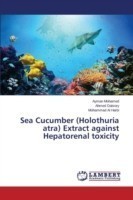 Sea Cucumber (Holothuria atra) Extract against Hepatorenal toxicity