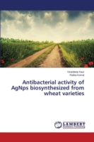 Antibacterial activity of AgNps biosynthesized from wheat varieties