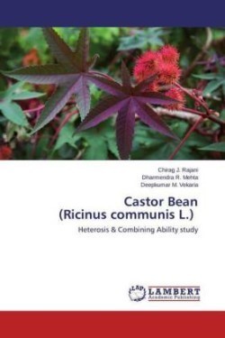 Castor Bean (Ricinus communis L.)