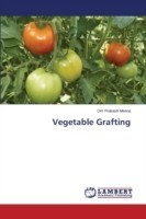 Vegetable Grafting