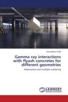 Gamma ray interactions with flyash concretes for different geometries