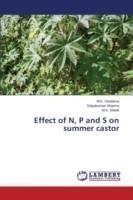 Effect of N, P and S on summer castor