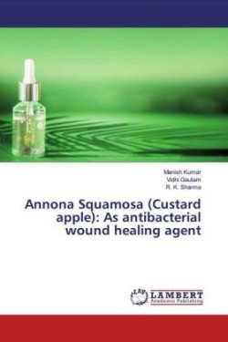 Annona Squamosa (Custard apple): As antibacterial wound healing agent