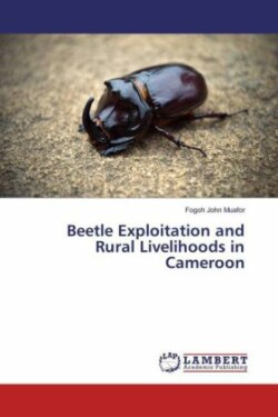 Beetle Exploitation and Rural Livelihoods in Cameroon